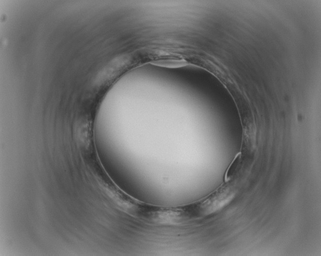 X0000066080462200603171035