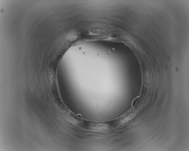 X0000066080463200603171035