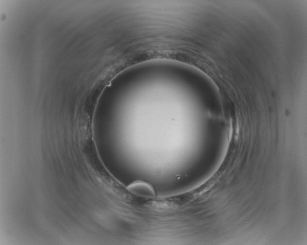 X0000066080464200603171035