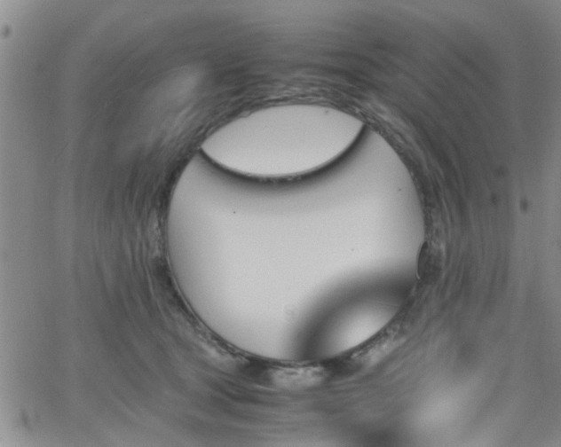 X0000066080465200603171035