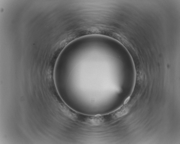 X0000066080466200603171035