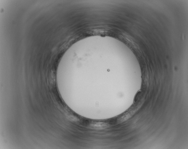 X0000066080467200603171035