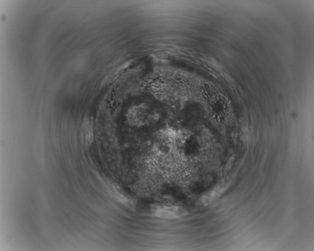 X0000066080471200603171035