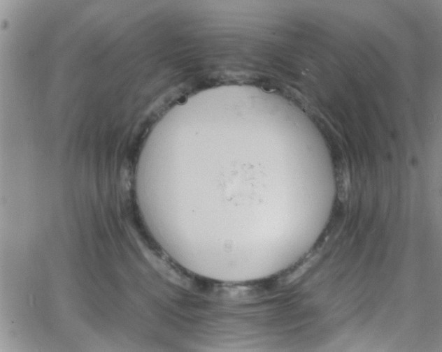 X0000066080472200603171035