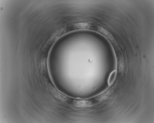 X0000066080473200603171035