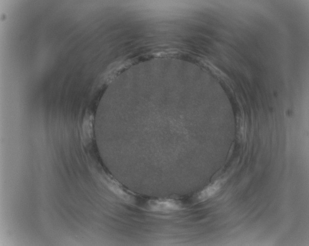 X0000066080475200603171035