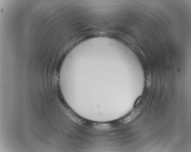 X0000066080476200603171035