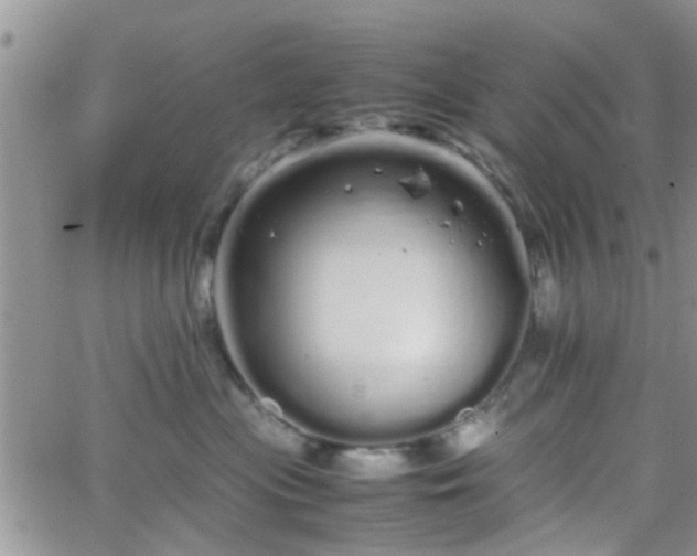 X0000066080477200603171035