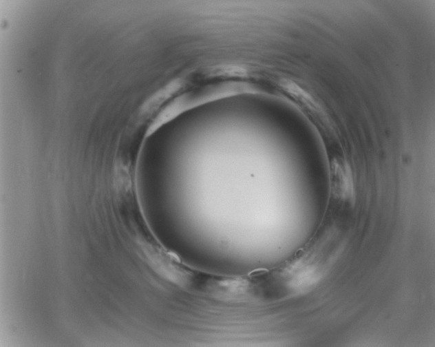 X0000066080478200603171035