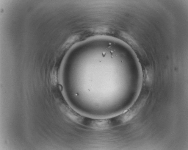 X0000066080479200603171035