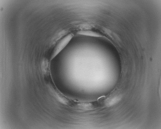 X0000066080480200603171035