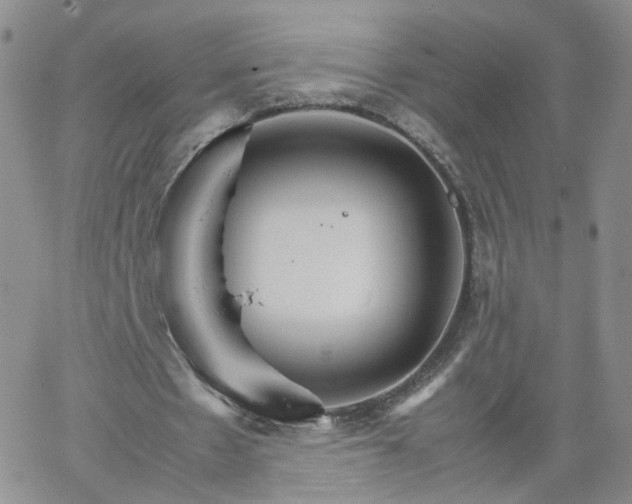 X0000066080481200603171034