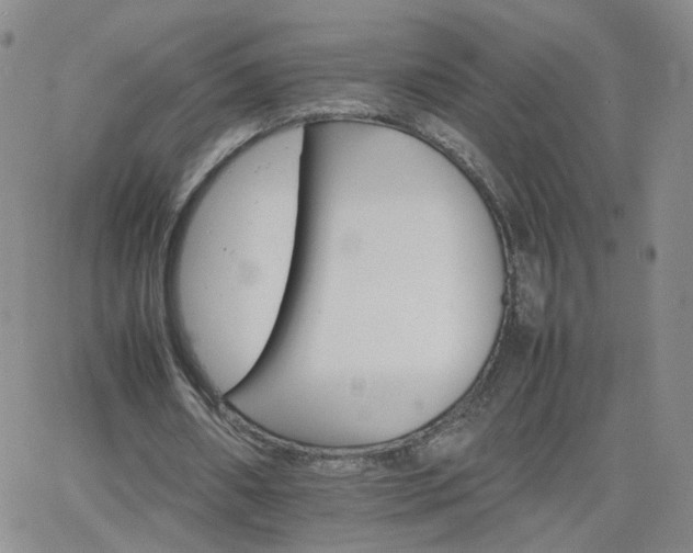 X0000066080482200603171034