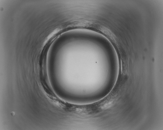 X0000066080483200603171034