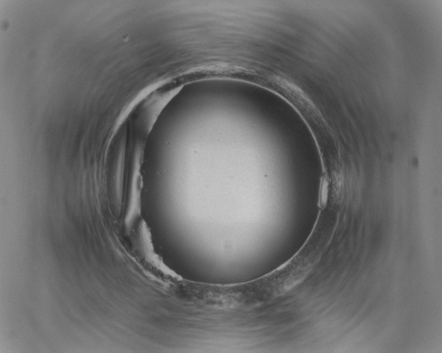 X0000066080484200603171034