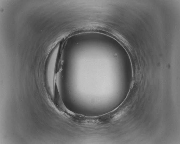 X0000066080485200603171034