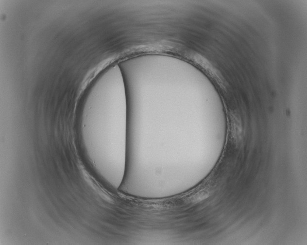 X0000066080486200603171034