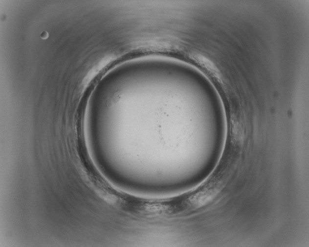 X0000066080487200603171034