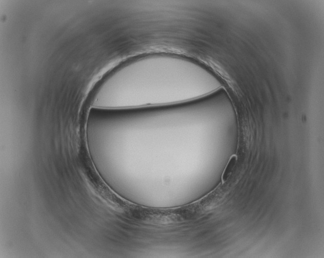 X0000066080488200603171034