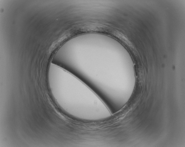 X0000066080489200603171034