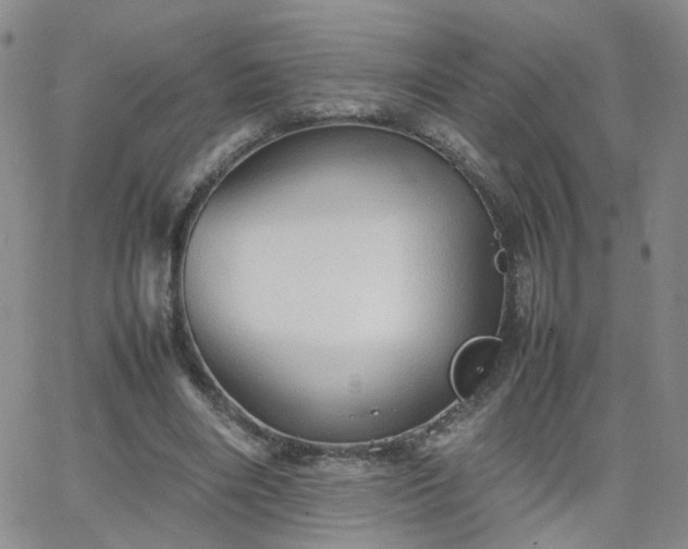 X0000066080490200603171034