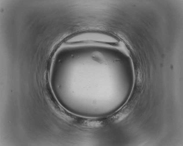 X0000066080491200603171034