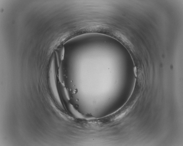 X0000066080493200603171034