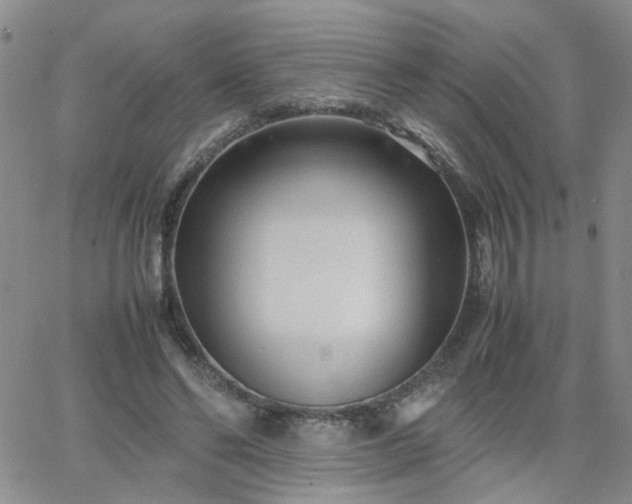 X0000066080494200603171034