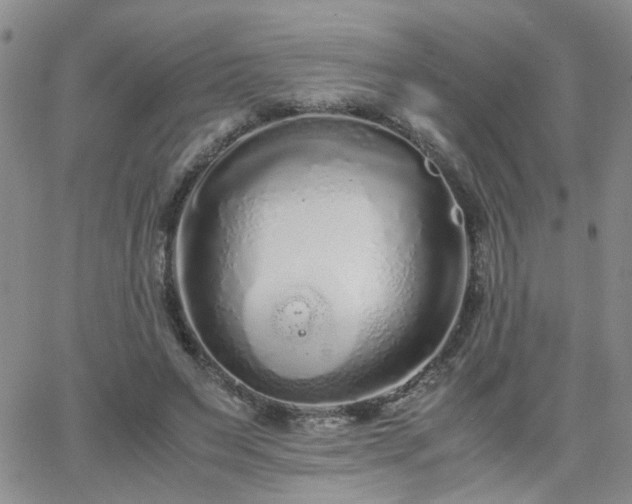 X0000066080495200603171034