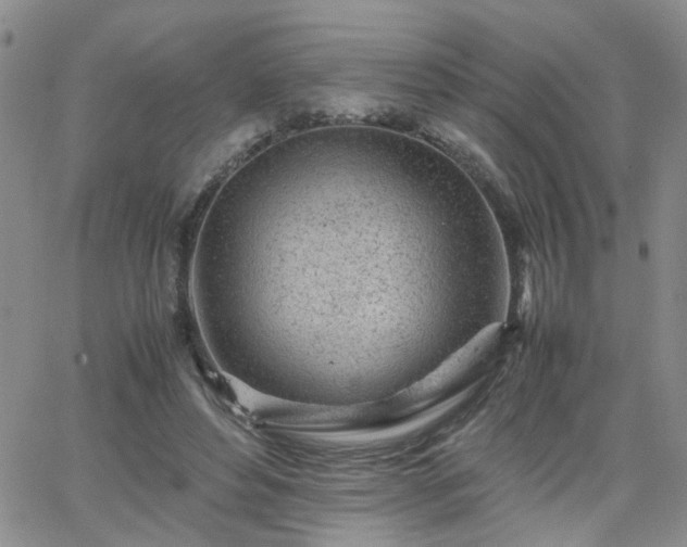 X0000066080496200603171034