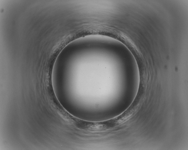 X0000066080497200603171034