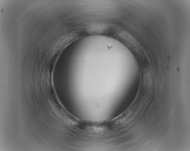 X0000066080498200603171034