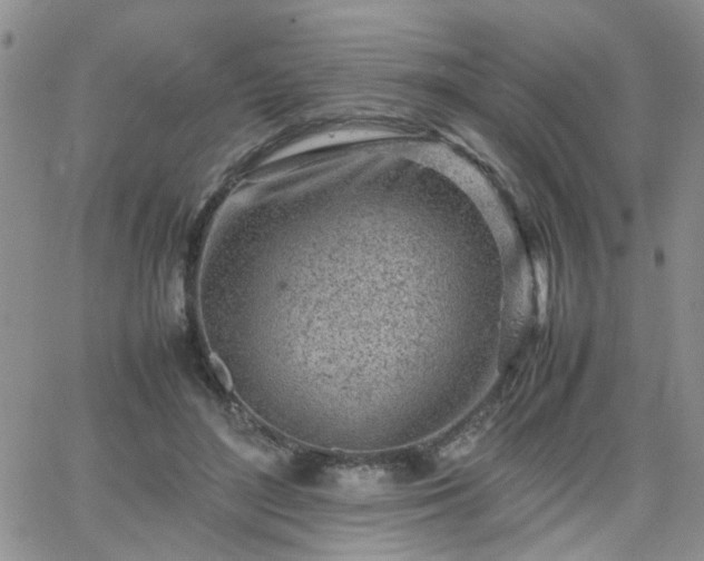 X0000066080500200603171034