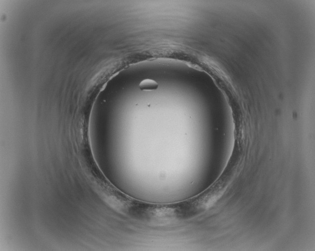 X0000066080501200603171034