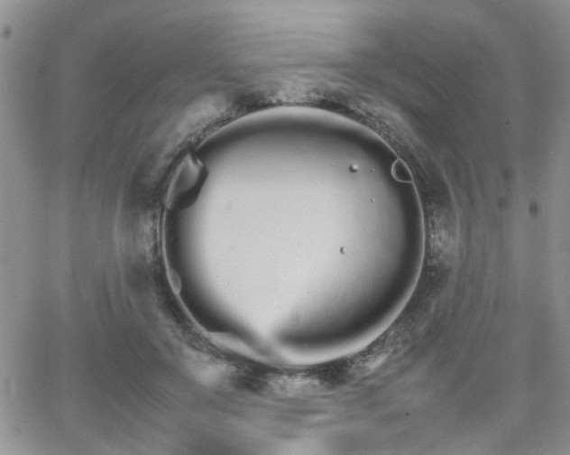 X0000066080503200603171034