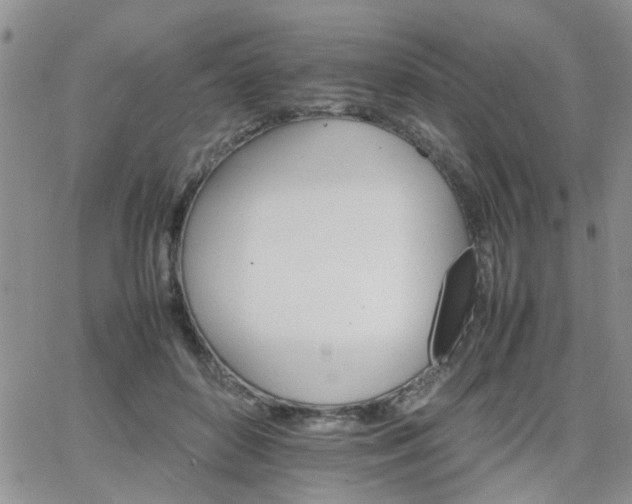 X0000066080504200603171034