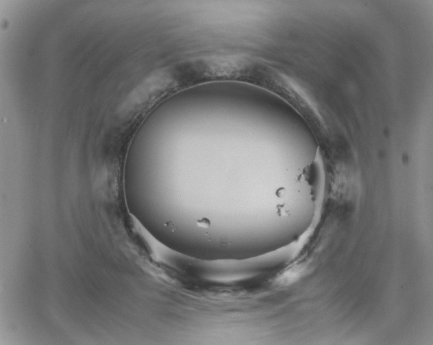 X0000066080505200603171034