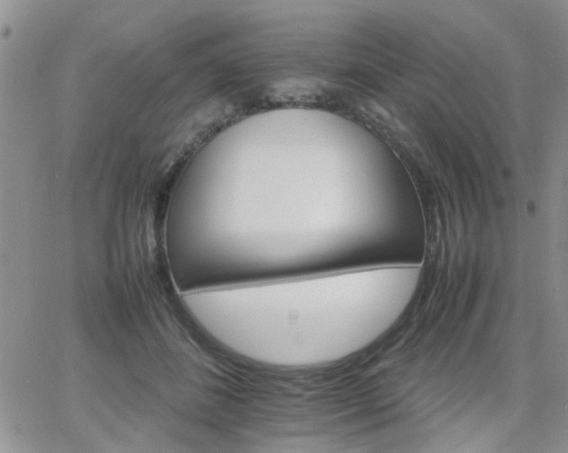 X0000066080508200603171034