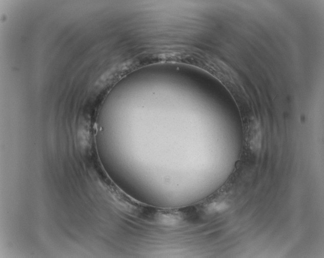 X0000066080510200603171034