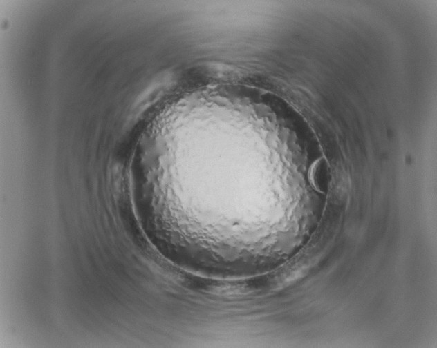 X0000066080511200603171034