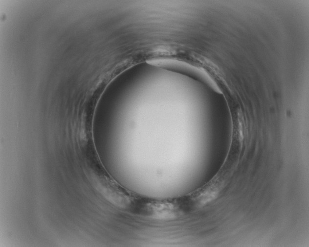 X0000066080512200603171034