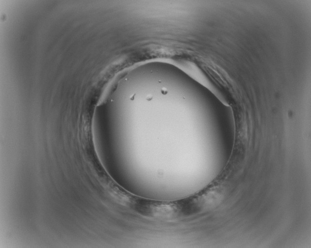 X0000066080513200603171034