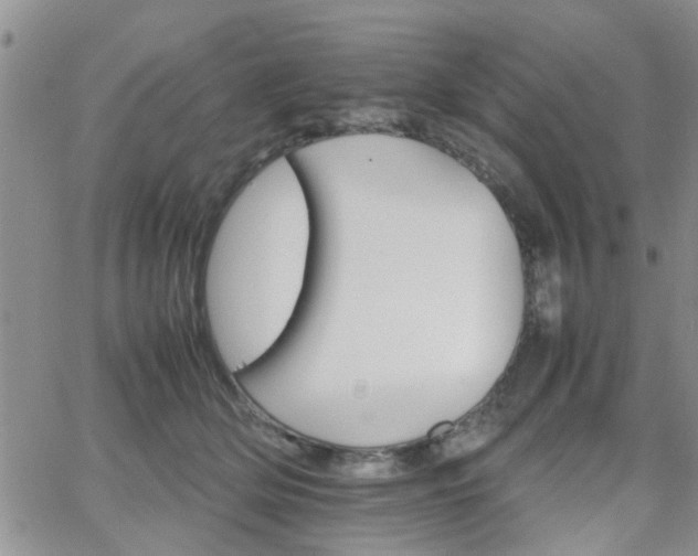 X0000066080514200603171034