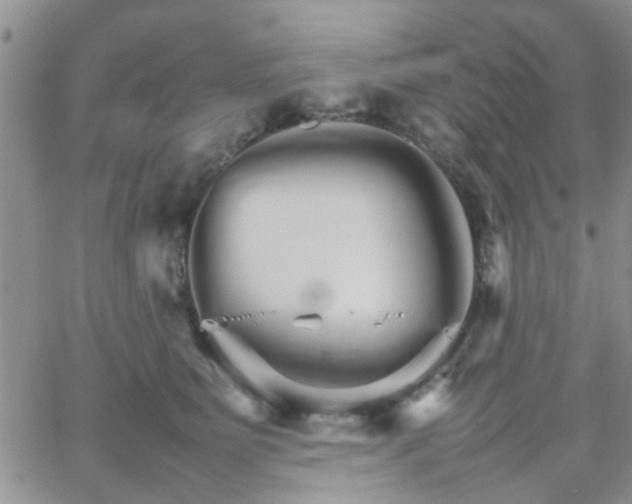 X0000066080515200603171034