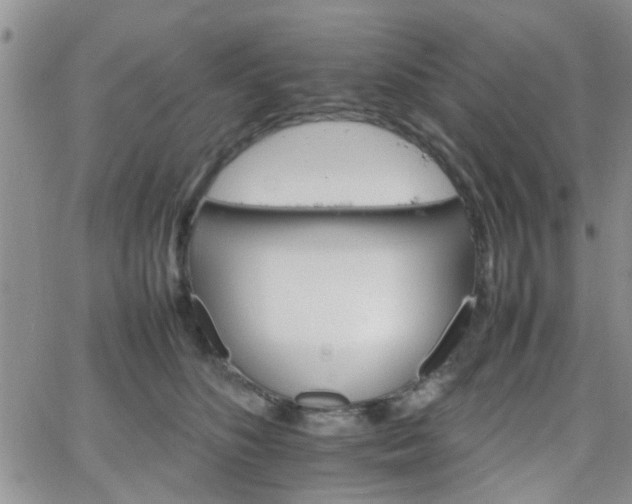 X0000066080516200603171034