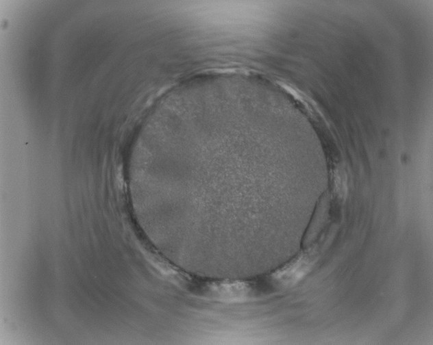 X0000066080517200603171034