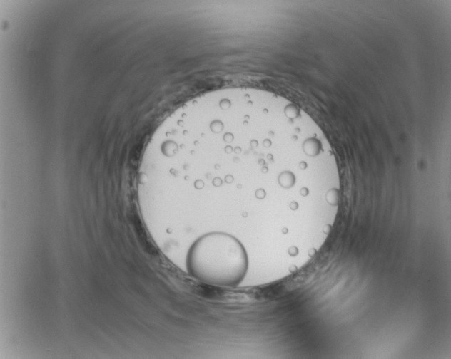 X0000066080519200603171034