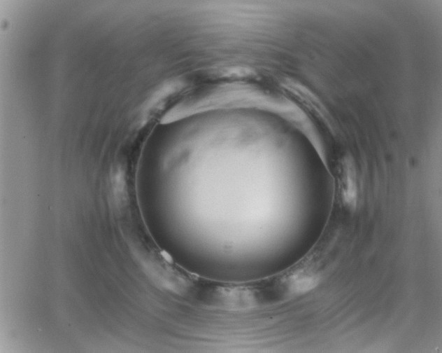 X0000066080520200603171033