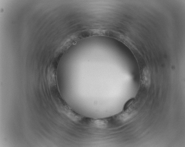 X0000066080522200603171033