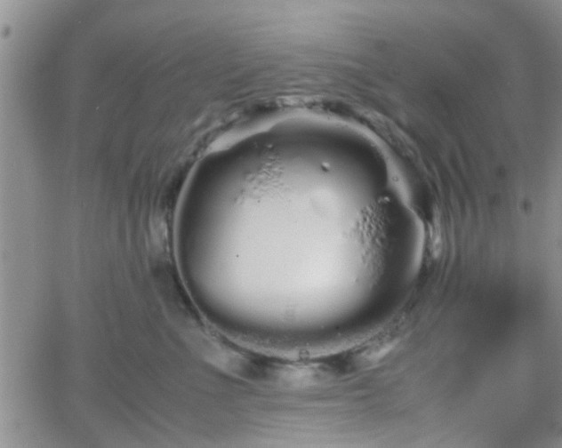 X0000066080523200603171033